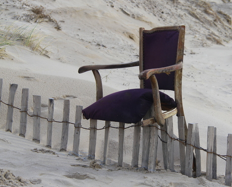 Gespot op het strand van Zoutelande.