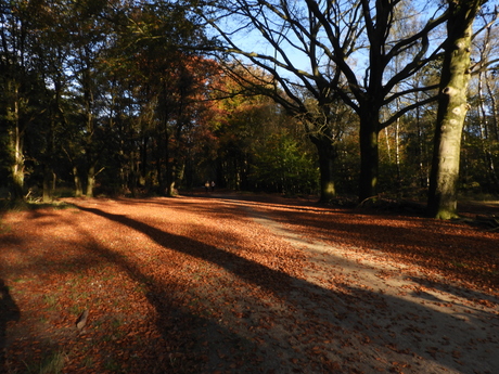 De wandeling