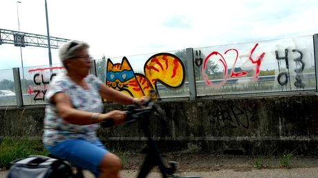 highway windshield with graffiti cat
