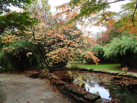 Herfst in de Kasteeltuinen