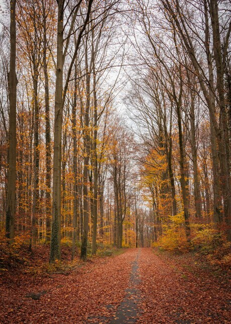 Park van Tervuren