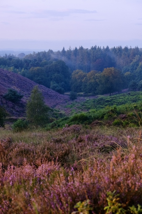 Posbank bij zonsopkomst 