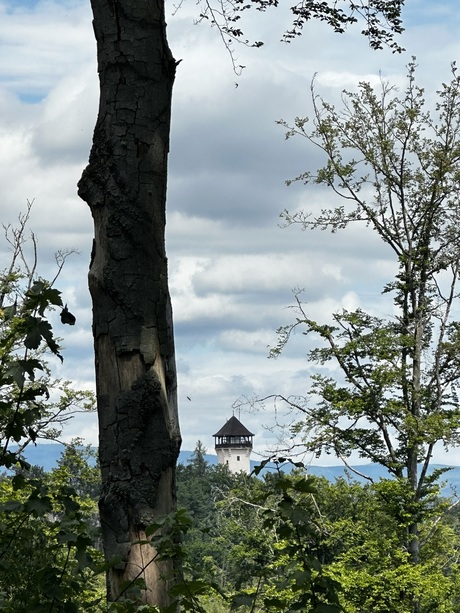 op de berg uitzicht uitkijktoren