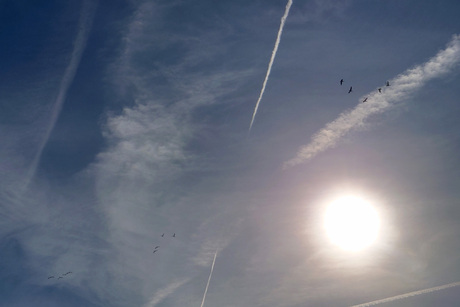 Alles op schema; niets nieuws onder de zon