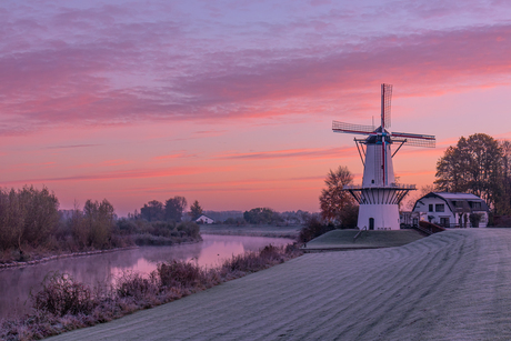 Molen de Vlinder