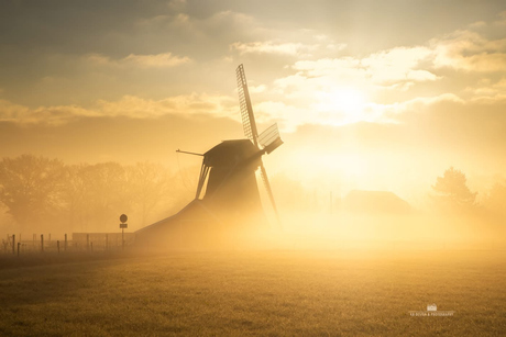 Magische ochtend bij een molen