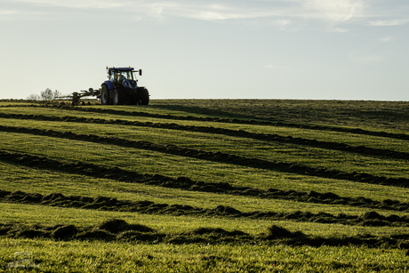 Tractor in het Avondveld