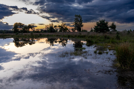 Avondzon bij het water