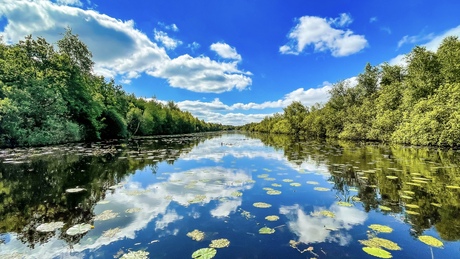 Natuurgebied De Deele