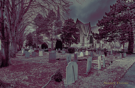 In de schaduw van het gesternte