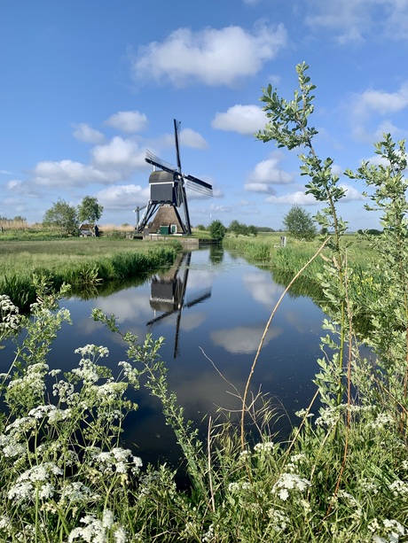 Broekmolen 