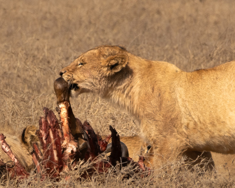 Yummie for my tummie