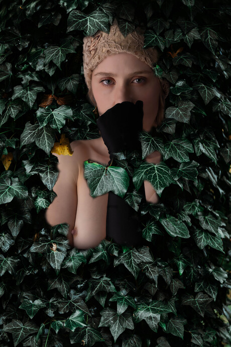 verstopt in de hedera