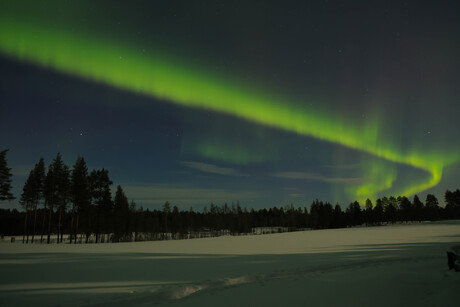 Noorderlicht