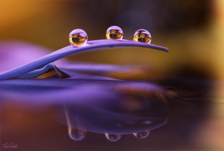 Refraction in Reflection