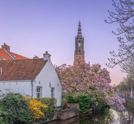 Voorjaar in Amersfoort