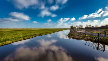 Nederlandse polder