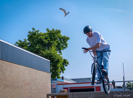 #playground BMX Bruno Colautti 