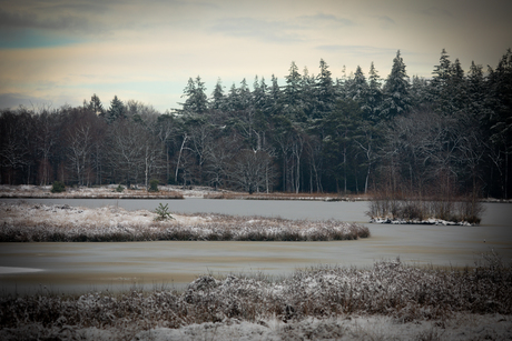Winters Pluismeer 
