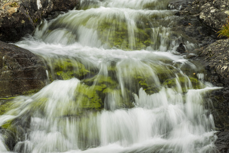 Doorkijkje in het water
