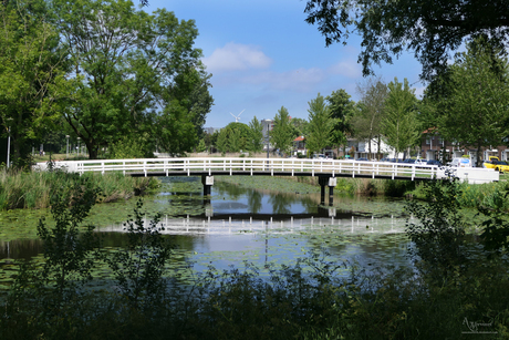 brug nieuw west