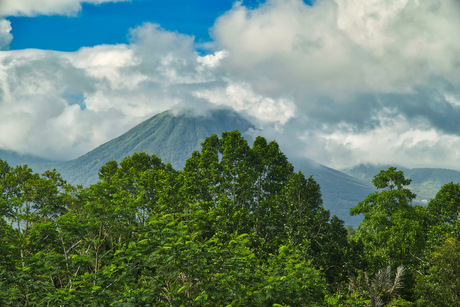 Sulawesi