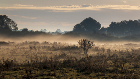 Grondmist in de herfst