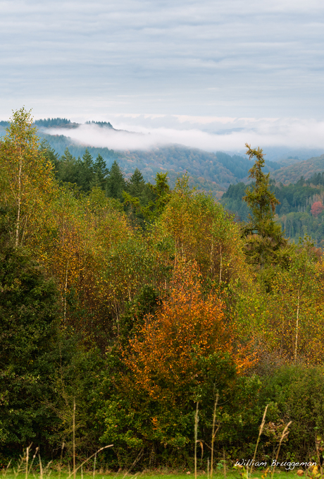 Herfst in Corbion