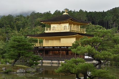 Gouden Paviljoen-tempel