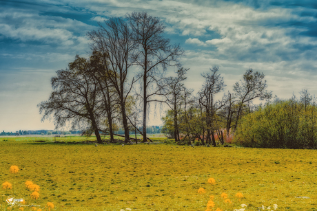 The rain clouds were coming