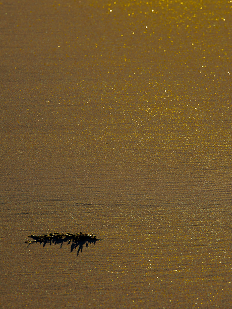 Wintrers Lofoten en Vesterålen