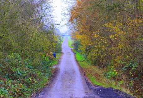 Geinspireert..................