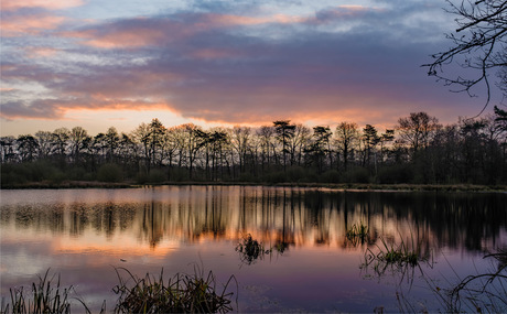 Ochtend 