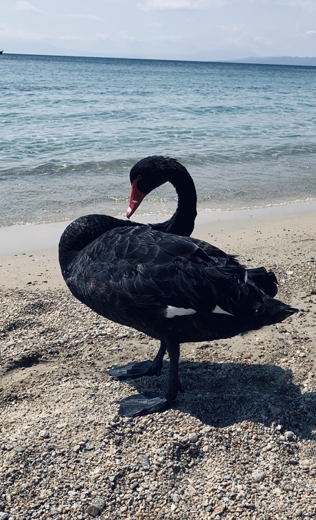 De kracht van een uitzondering 