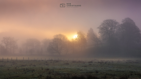 Sunrise in the Ardennes