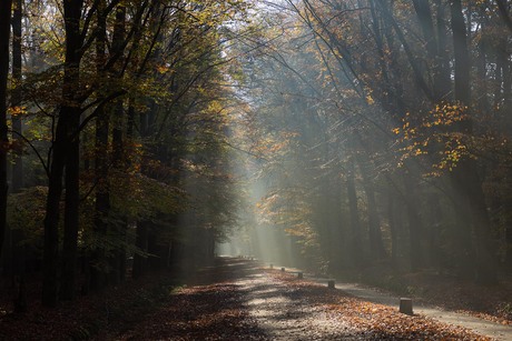 Herfst en sfeer