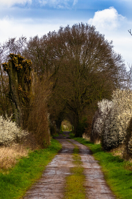 Tunnel