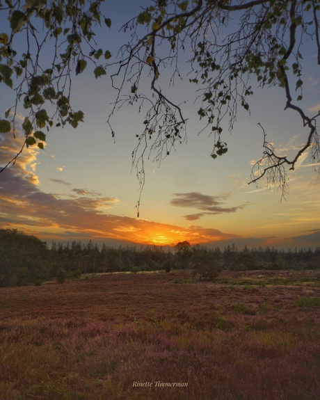 Zonsondergang 