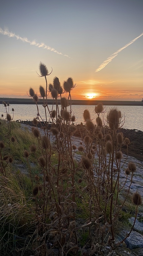 Rustige zonsondergang 