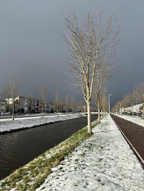 Vlak voor de sneeuwbui
