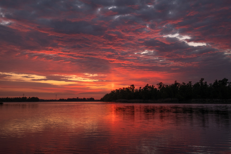 Zonsonder in de Biesbosch