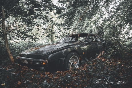 Lost in the Wilderness: The Forgotten Porsche in the Forest