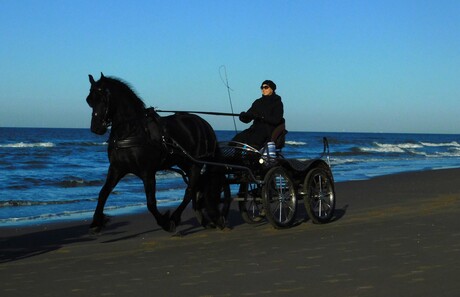 Paard rijden aan de noordzee.