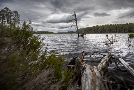 Loch Malachie, Scotland