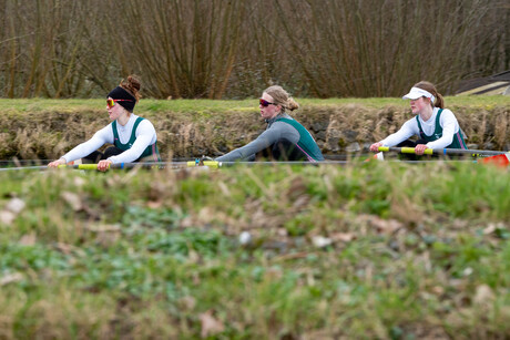 Roeiwedstrijd op de Schie