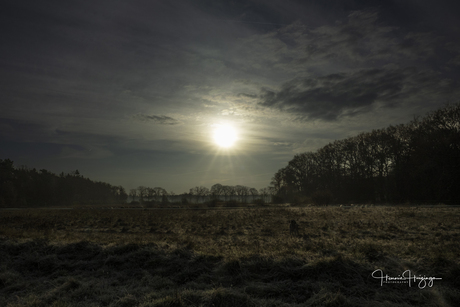 Morgen`s opkomende zon 