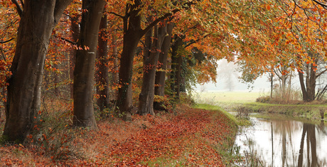 De Poelsbeek