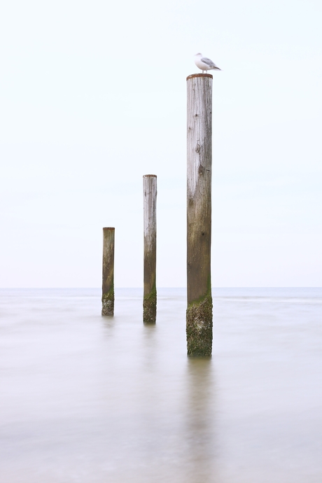 Van  klein naar groot.