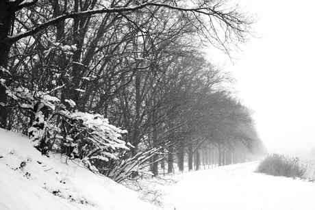 Mist en sneeuw