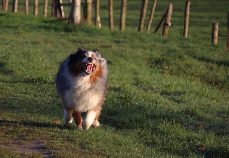 Apparences trompeuses.